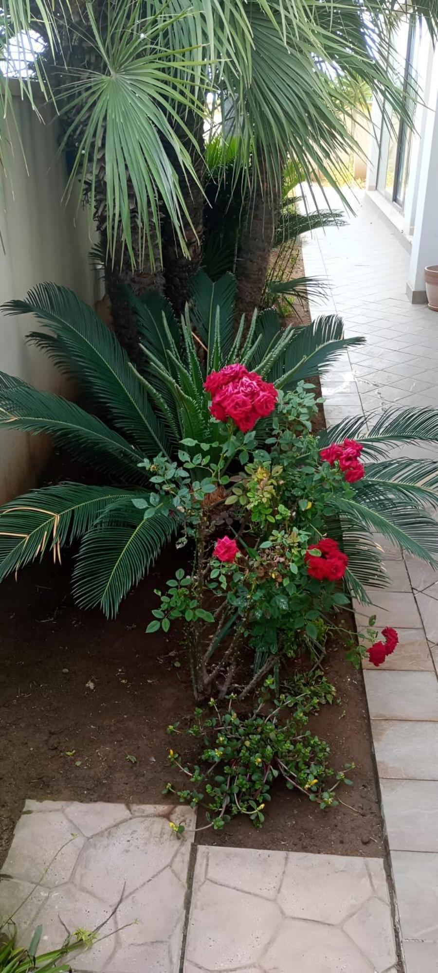 Viki House Mazara Apartment Mazara del Vallo Exterior photo